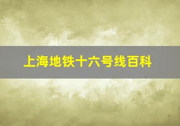 上海地铁十六号线百科