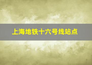 上海地铁十六号线站点