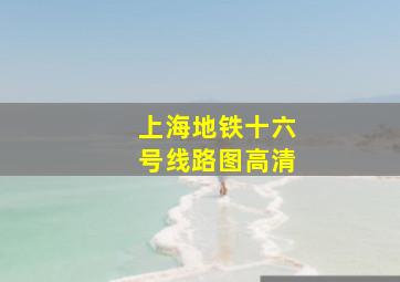 上海地铁十六号线路图高清