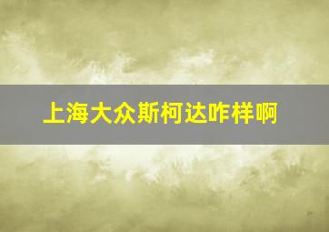 上海大众斯柯达咋样啊