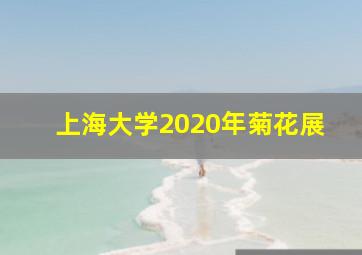 上海大学2020年菊花展