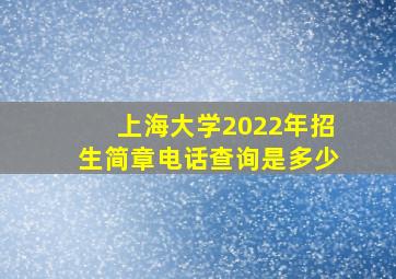 上海大学2022年招生简章电话查询是多少