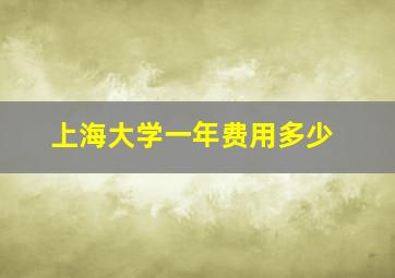 上海大学一年费用多少