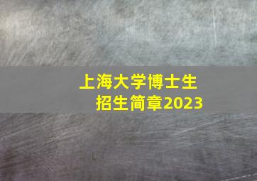 上海大学博士生招生简章2023