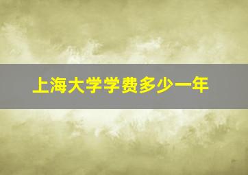 上海大学学费多少一年