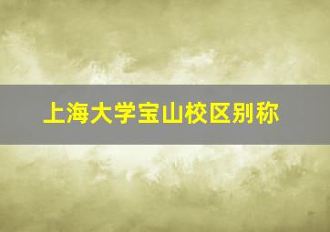 上海大学宝山校区别称