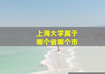 上海大学属于哪个省哪个市