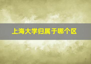 上海大学归属于哪个区