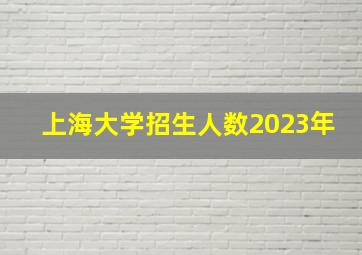 上海大学招生人数2023年