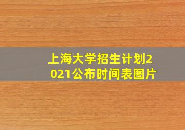 上海大学招生计划2021公布时间表图片