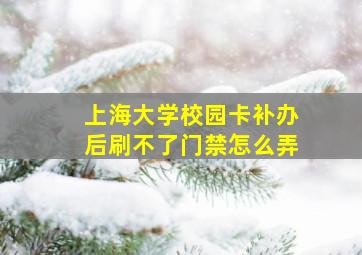 上海大学校园卡补办后刷不了门禁怎么弄