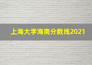 上海大学海南分数线2021