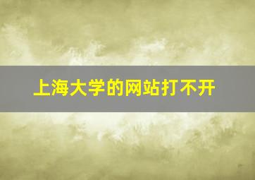 上海大学的网站打不开