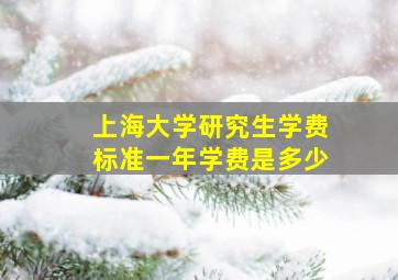 上海大学研究生学费标准一年学费是多少