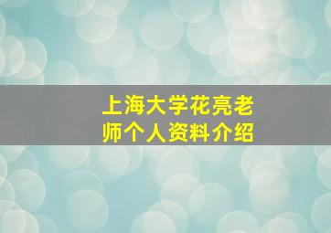 上海大学花亮老师个人资料介绍