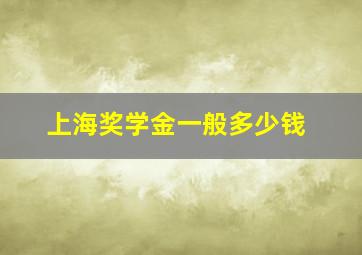 上海奖学金一般多少钱