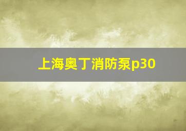 上海奥丁消防泵p30