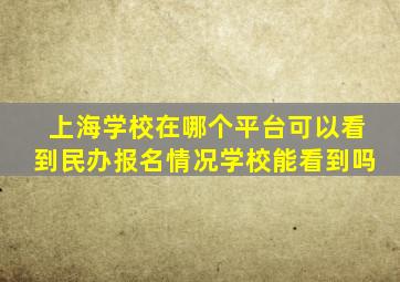 上海学校在哪个平台可以看到民办报名情况学校能看到吗