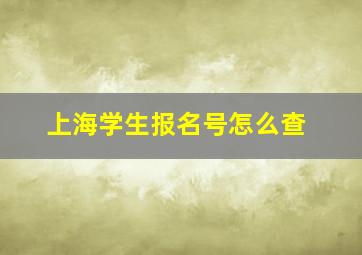 上海学生报名号怎么查