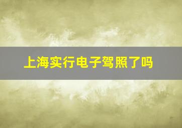 上海实行电子驾照了吗