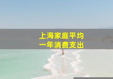 上海家庭平均一年消费支出