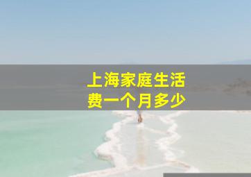 上海家庭生活费一个月多少