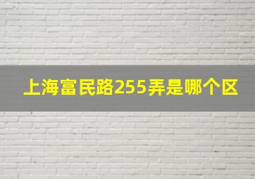 上海富民路255弄是哪个区