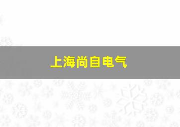 上海尚自电气