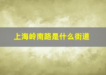 上海岭南路是什么街道