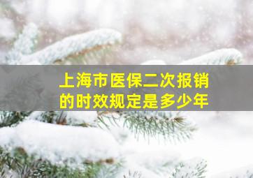 上海市医保二次报销的时效规定是多少年