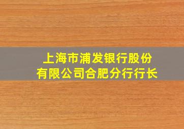 上海市浦发银行股份有限公司合肥分行行长