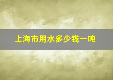 上海市用水多少钱一吨