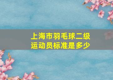 上海市羽毛球二级运动员标准是多少