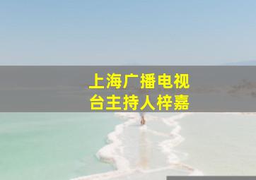 上海广播电视台主持人梓嘉