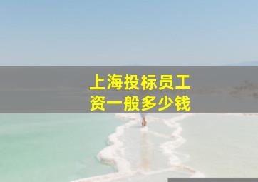 上海投标员工资一般多少钱