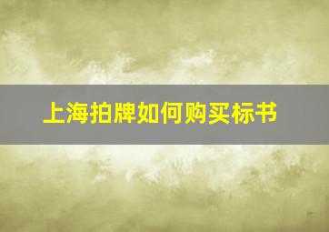 上海拍牌如何购买标书