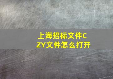 上海招标文件CZY文件怎么打开