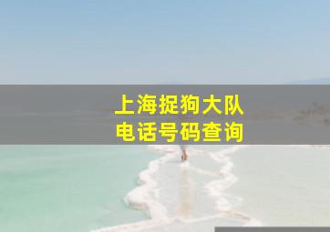 上海捉狗大队电话号码查询