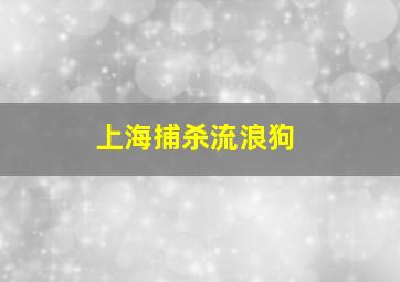 上海捕杀流浪狗