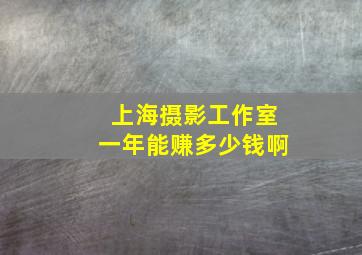 上海摄影工作室一年能赚多少钱啊