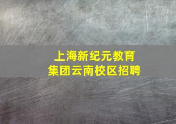 上海新纪元教育集团云南校区招聘