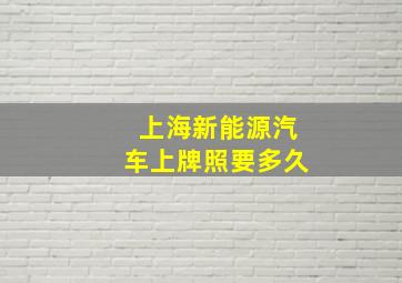 上海新能源汽车上牌照要多久