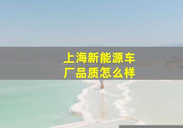 上海新能源车厂品质怎么样