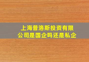 上海普洛斯投资有限公司是国企吗还是私企