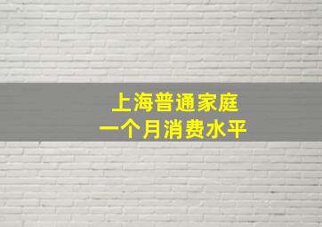 上海普通家庭一个月消费水平