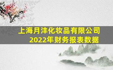 上海月沣化妆品有限公司2022年财务报表数据