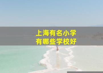 上海有名小学有哪些学校好