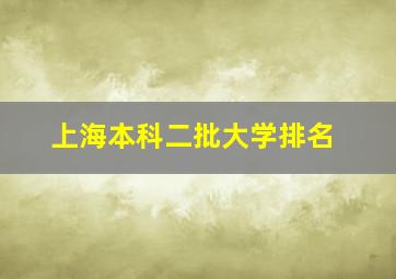 上海本科二批大学排名