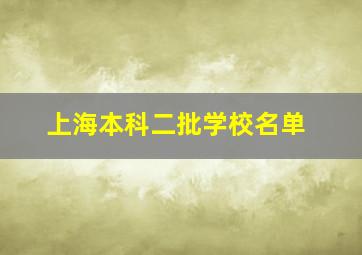 上海本科二批学校名单