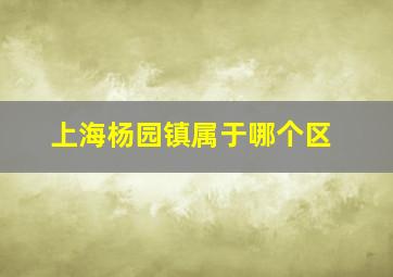 上海杨园镇属于哪个区